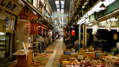 DSCN2137.jpg