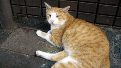 DSCN2144.jpg