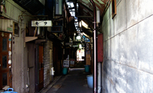 DSCN2146.jpg