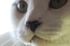 DSC_1561.jpg