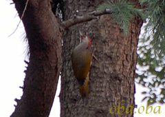 DSC_3455.jpg
