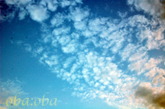 DSC_3459.jpg