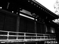 RIMG0027.jpg