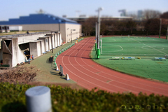 RIMG0076.jpg