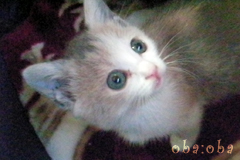 SANY0067.jpg