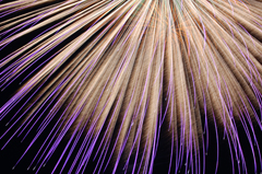 kirehanabi.jpg