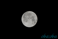 moon.jpg
