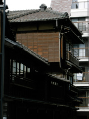 nezu4.jpg