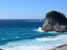 niijima2014_04.jpg