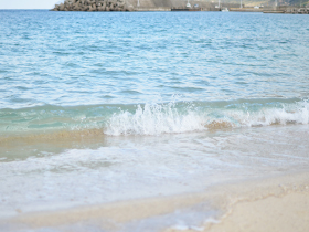 niijima2014_12.jpg