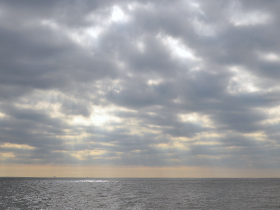 niijima2014_14.jpg