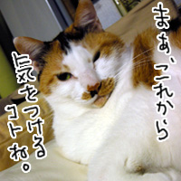 oisame.jpg