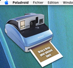 pola1.jpg