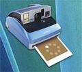 pola3.jpg