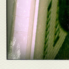 pola9.jpg